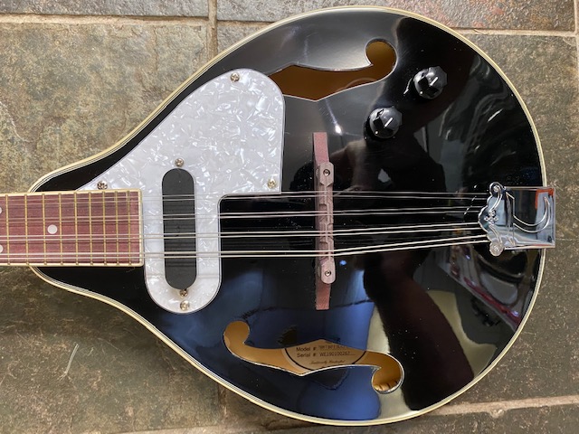 Tanglewood TWMTBKPE Electro Mandolin