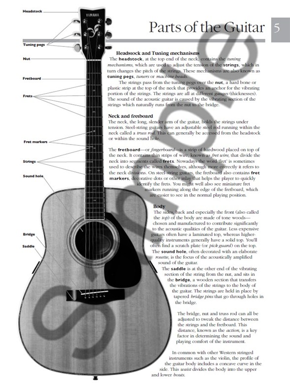 Absolute Beginners Acoustic Guitar