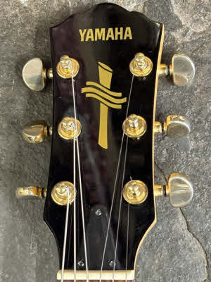 COM Yamaha AEX500