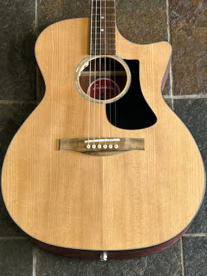 Eastman PCH1 GA CE (inc Bag)
